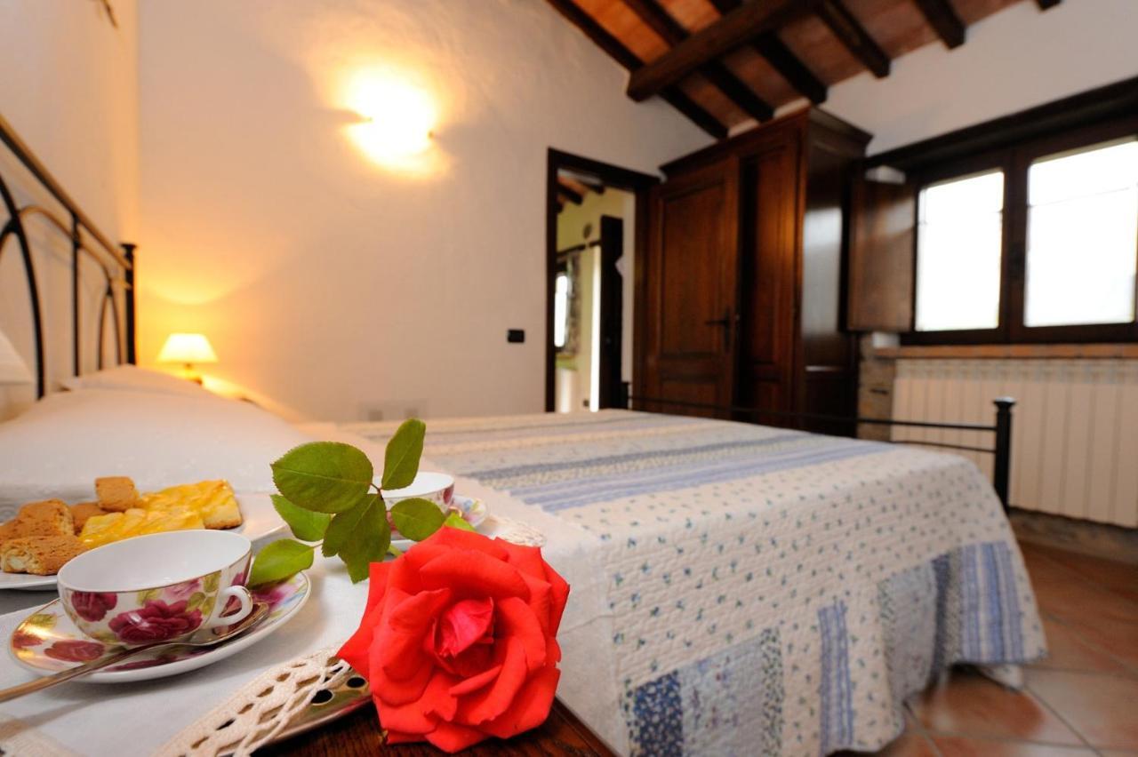 Girasole - Agriturismo Fogliani 翁布里亚区贾诺 外观 照片